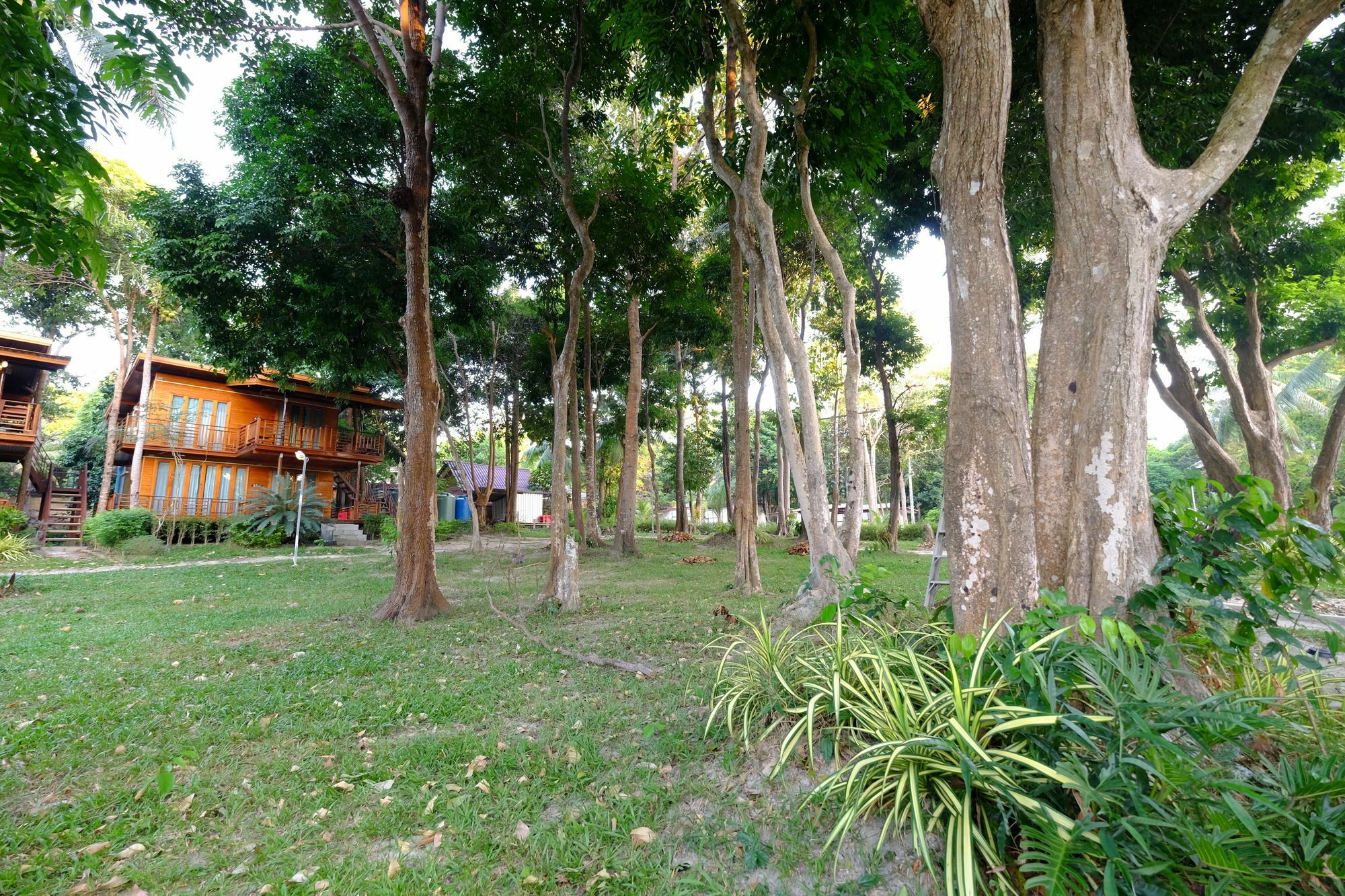 Long Bay Resort Koh Lipe Bagian luar foto